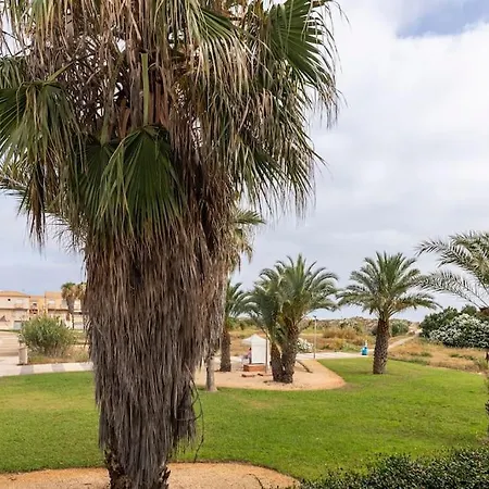 Orilla Del Mar * Oliva
